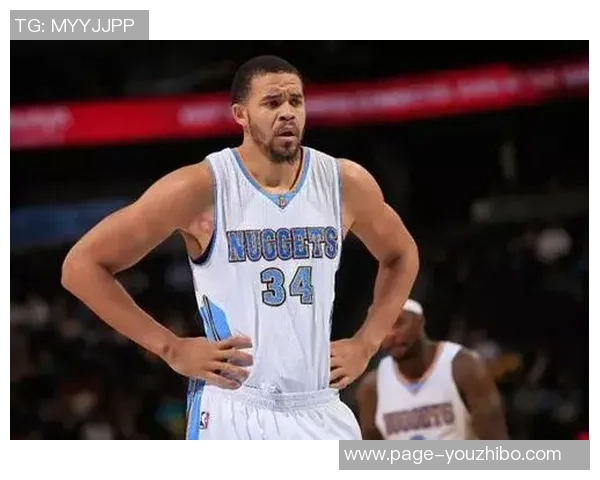 博格丹博格达诺维奇:从天赋新星到NBA赛场的璀璨之路 博格丹博格达诺维奇:从天赋新星到NBA赛场的璀璨之路