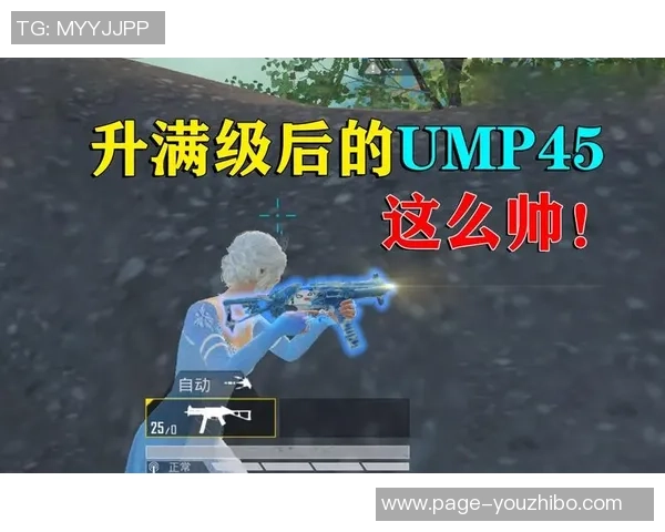 和平精英战术解析:LNG战队的灵活转换体系与实战应用探讨 和平精英战术解析:LNG战队的灵活转换体系与实战应用探讨