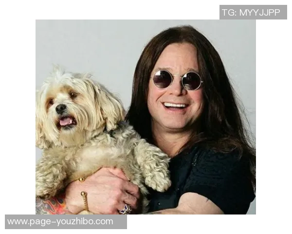 斯通斯的传奇旅程与音乐影响力探讨：从摇滚巨星到文化象征的演变之路